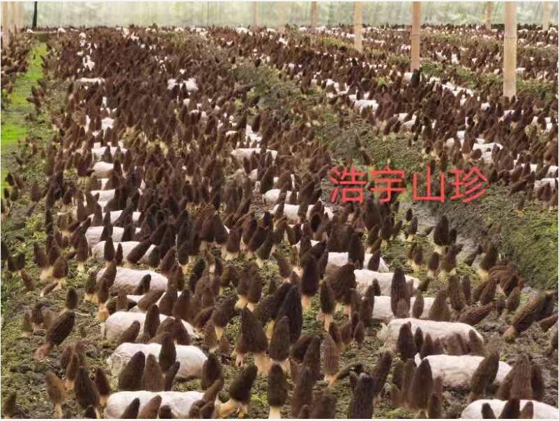 &#24320;&#20803;&#32593;&#31449;&#30331;&#24405;&#20837;&#21475;&#95;&#24320;&#20803;&#65288;&#20013;&#22269;&#65289;